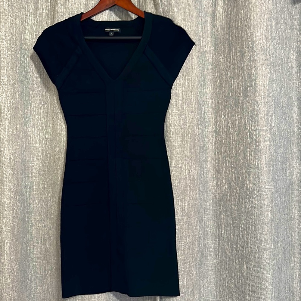 Express Design Studio Fitted Dress